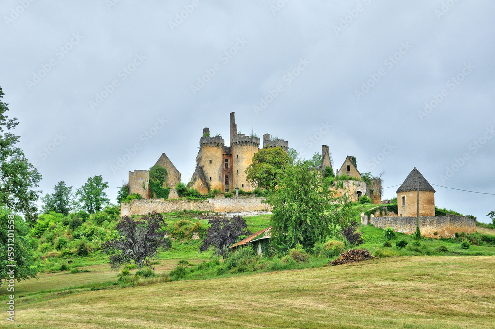 France, picturesque castle of Saint Vincent le Paluel