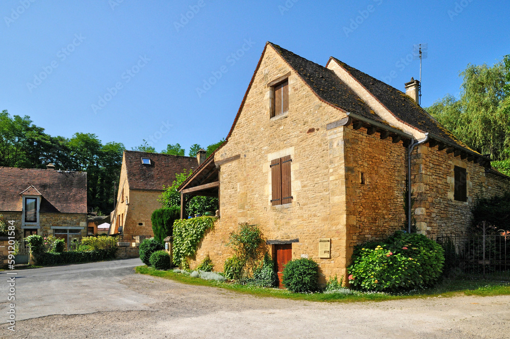 France, picturesque village of Salignac