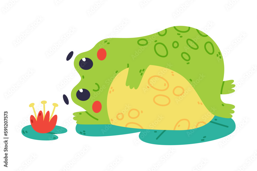Cute Fat Green Frog or Toad Character Lying on Lily Pad Vector Illustration Cute Fat Green Frog or Toad Character Lying on Lily Pad Vector Illustration