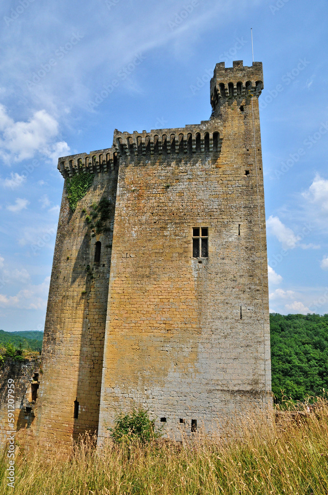 France, picturesque castle of Commarque in Dordogne