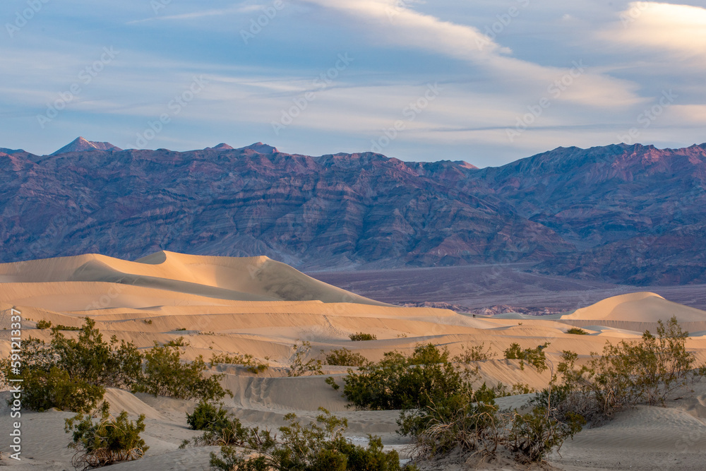 Fototapeta premium Mesquite Flat Sand Dunes