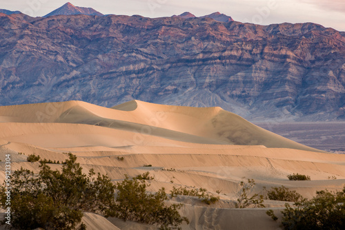 Fototapeta Naklejka Na Ścianę i Meble -  Mesquite Flat Sand Dunes