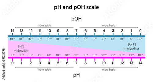 pH and pOH scale
