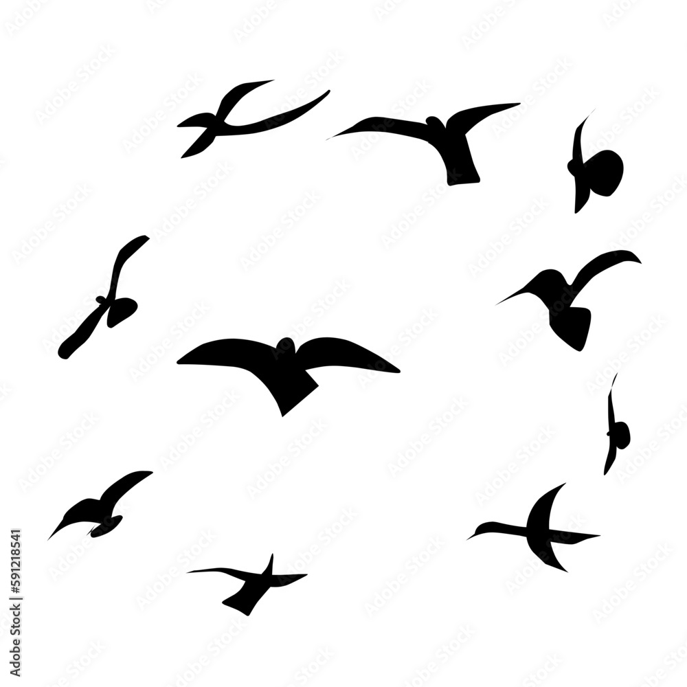 Fototapeta premium Flying Bird Silhouette 