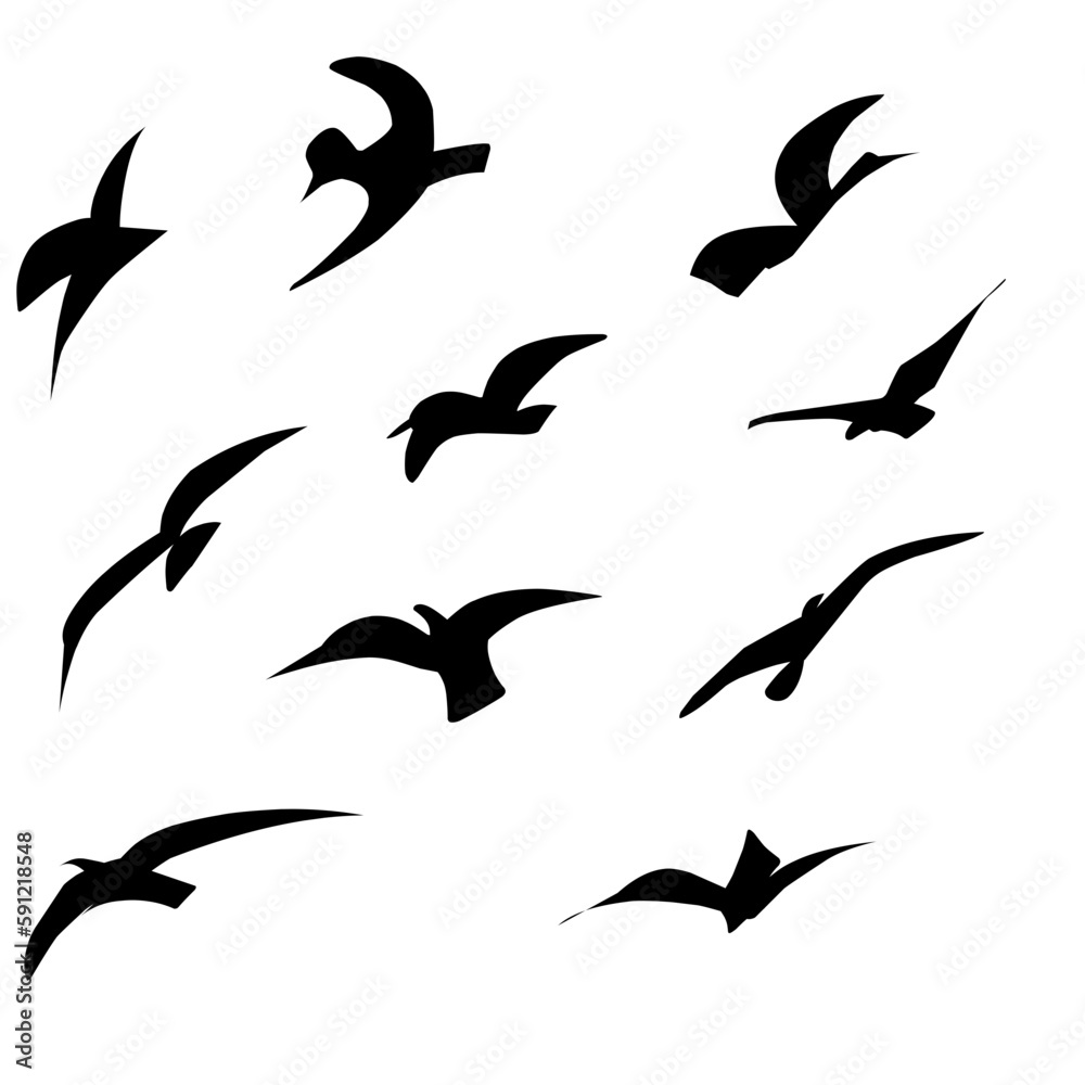 Naklejka premium Flying Bird Silhouette 