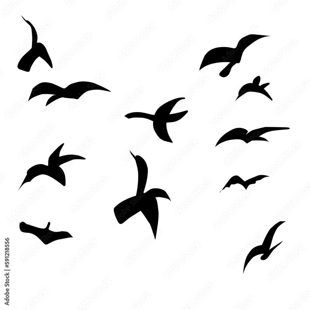 Fototapeta premium Flying Bird Silhouette