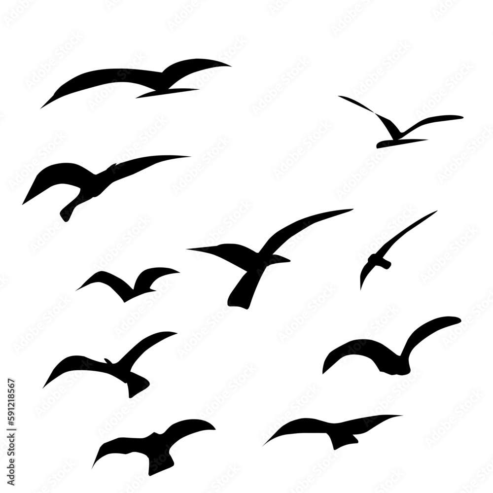 Naklejka premium Flying Bird Silhouette 