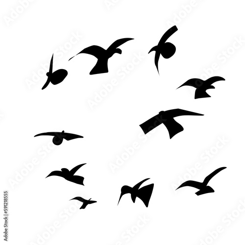 Flying Bird Silhouette  © Mojostd