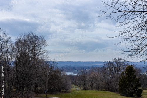 trees and clouds