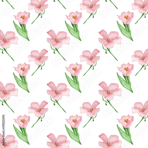 Floral pattern with rose flowers on a white background, hand painted in watercolor.