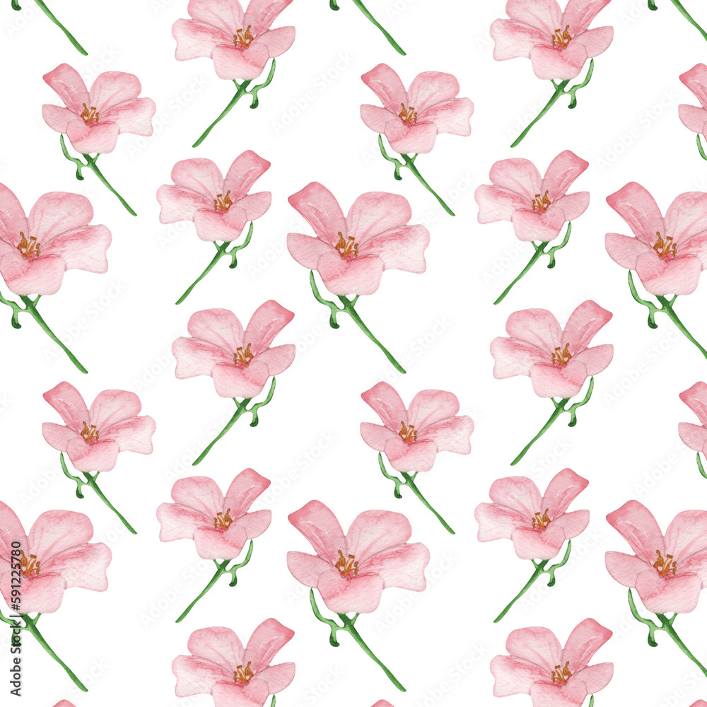 Floral pattern with rose flowers on a white background, hand painted in watercolor.