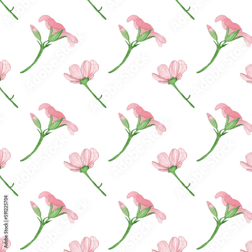 Floral pattern with rose flowers on a white background  hand painted in watercolor.