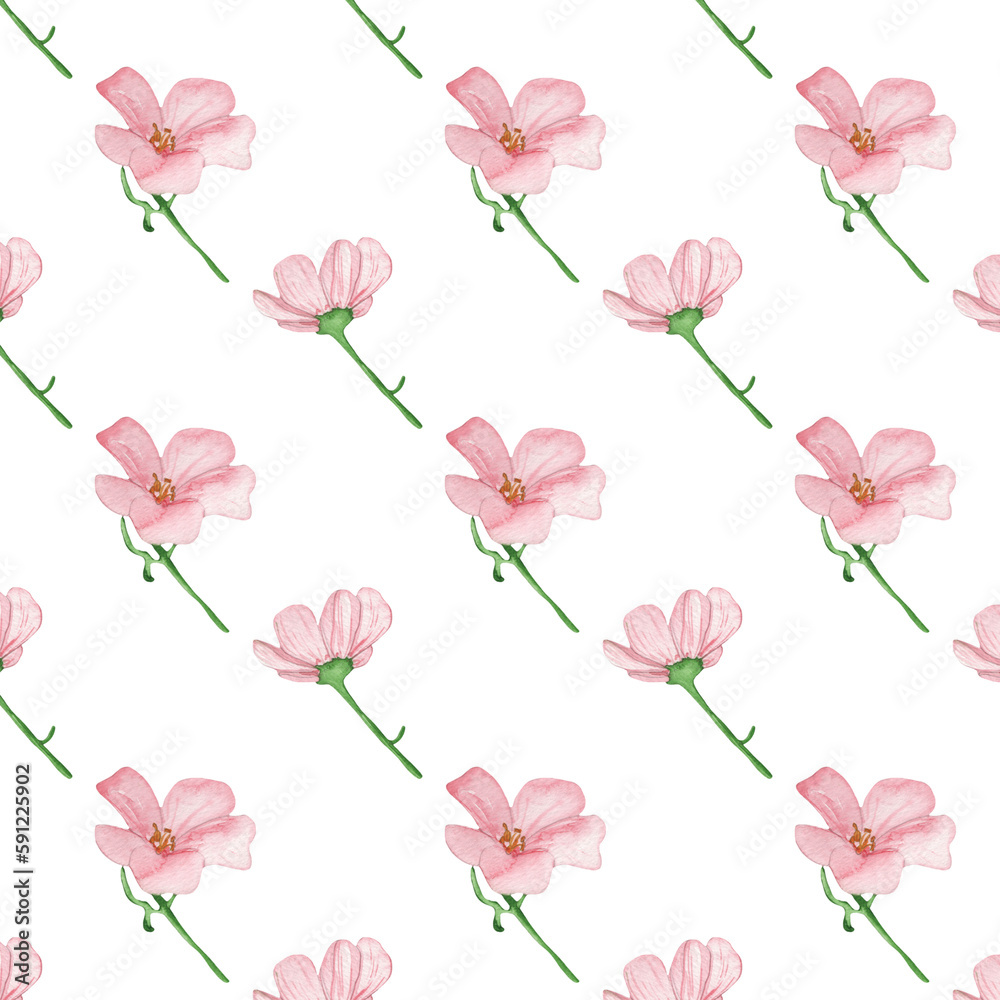 Floral pattern with rose flowers on a white background, hand painted in watercolor.
