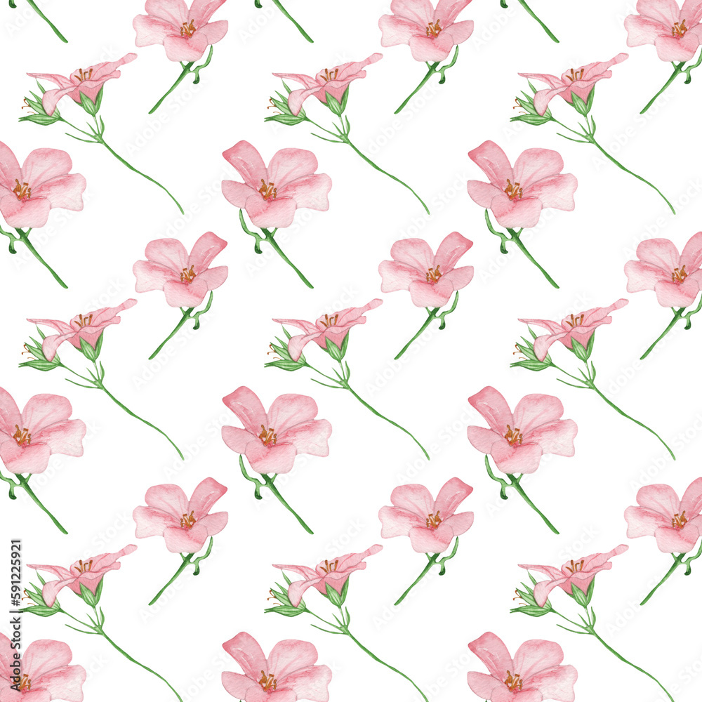 Floral pattern with rose flowers on a white background, hand painted in watercolor.