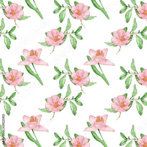 Floral pattern with rose flowers on a white background, hand painted in watercolor. © Makarova Art