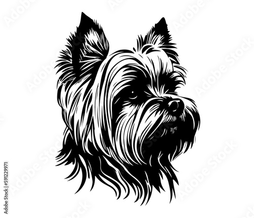 Yorkshire Terrier  Silhouettes Dog Face SVG  black and white Yorkshire Terrier vector
