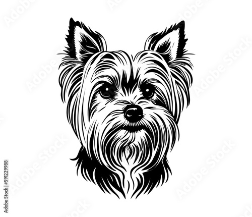 Yorkshire Terrier, Silhouettes Dog Face SVG, black and white Yorkshire Terrier vector
