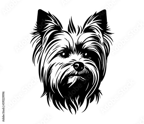 Yorkshire Terrier, Silhouettes Dog Face SVG, black and white Yorkshire Terrier vector