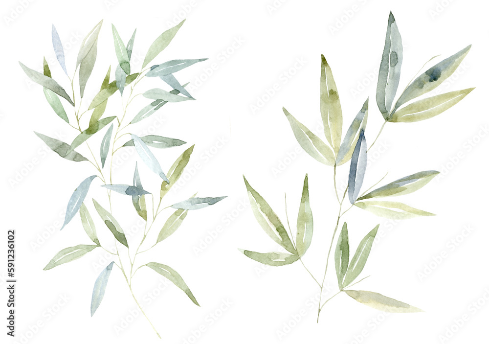 Obraz premium Set of green Branches. Watercolor Illustration.