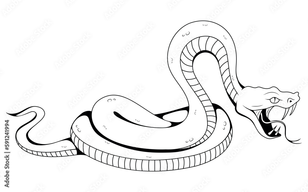 Fototapeta premium Snake. Vector illustration sketch of tattoo tropical serpent