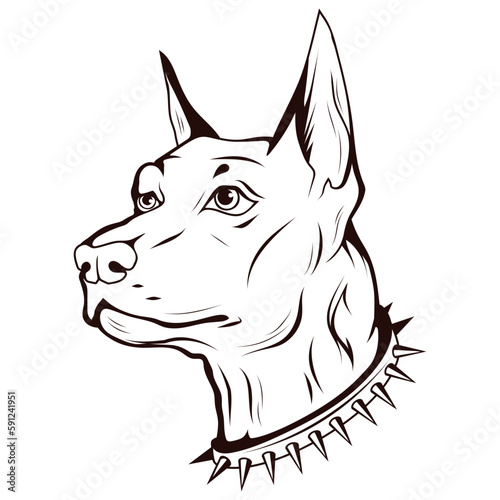 Doberman. Vector illustration sketch of  purebred pet. Dog's head with spiked collar.