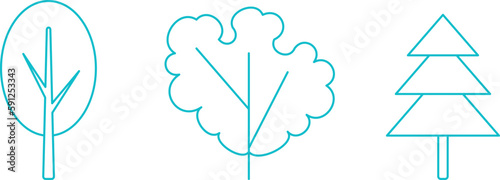 spring trees, fir tree and larch