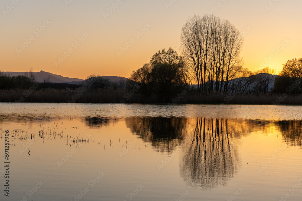 Flooded meadow at sunset with reflections in the water.
