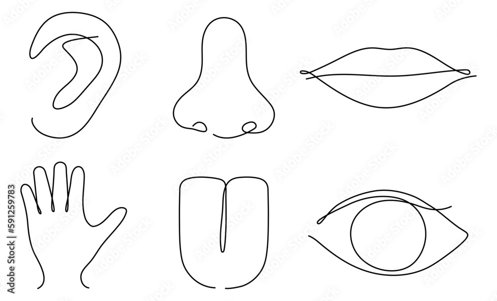 Human senses continuous one line art set. Hand, eye, nose, tongue, lips and ear. People part of