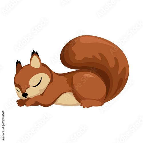 Squirrel. A sleeping little rodent. Cute cartoon character. Vector. Drawing of a squirrel lying on its stomach. Closeup. White background.