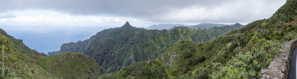 Huge panorama landscape of dark green forest in mountains of terenife, in hike path island, canarias, spain