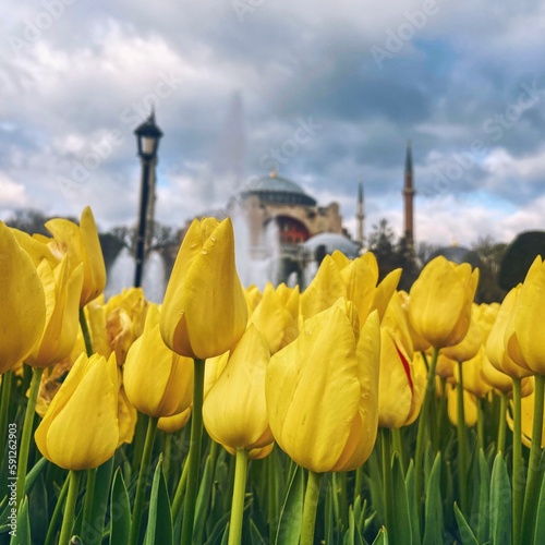 Hagia Sophia