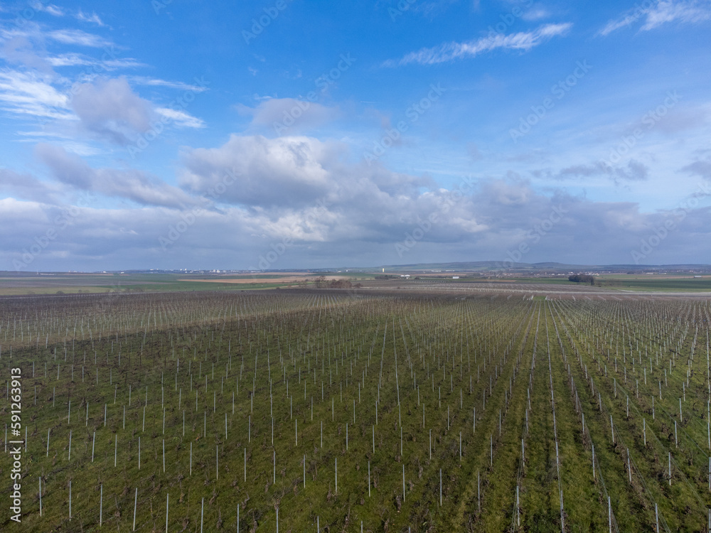 Fototapeta premium Aerial panoramic winter view on valley landscape, vineyards near Ludes premier cru champagne village, wine production in France