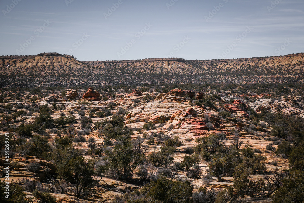 Beautiful desert landscape near Goblin Valley Utah with red sandstone rock formations and pine trees