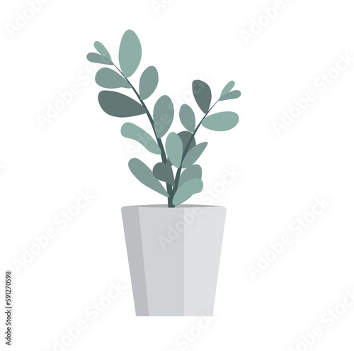 Houseplants in a pot. Botanical flowers. Ornamental plant for decorating the interior of the house. Vector illustration.