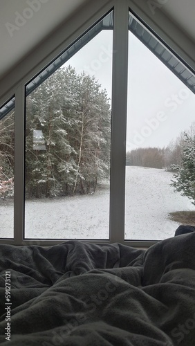 Landscape, view, sunset, animals, interiors, views, sky, sunrise, clouds, trees, nature, city, city view