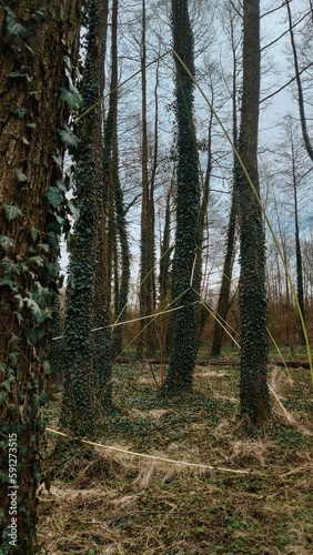 Landscape, view, sunset, animals, interiors, views, sky, sunrise, clouds, trees, nature, city, city view