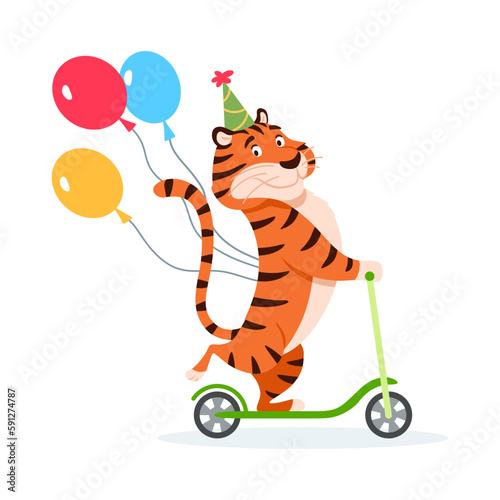 Happy cartoon tiger in Birthday hat rides a kick scooter. Holiday wild cat with colorful balloons isolated on white background. Adorable orange striped character. Animal vector illustration