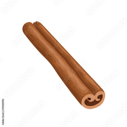 cinnamon stick cartoon vector illustration
