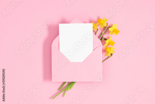 Open pink envelope with paper sheet and and yellow flowers of daffodils on isolated pastel pink background. Flat lay, top view, copy space