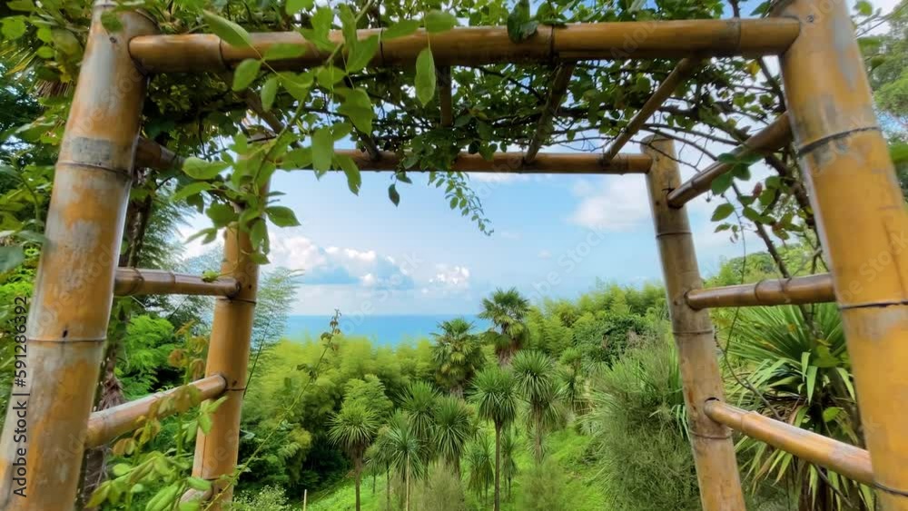 Steady camera shot movement - wooden bamboo arch in the park, botanical garden in Batumi, Georgia - wide angle. Decoration, tropical and summer concept Steady camera shot movement - wooden bamboo arch in the park, botanical garden in Batumi, Georgia - wide angle. Decoration, tropical and summer concept