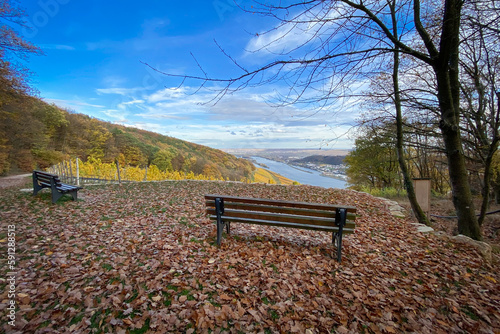 Bench at scenic viewpoint to River Rhine, Rheingau and Rheinhessen, Germany photo