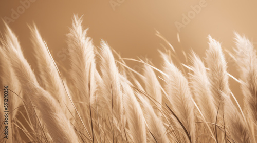 Pampas grass minimalist background. Illustration AI Generative.