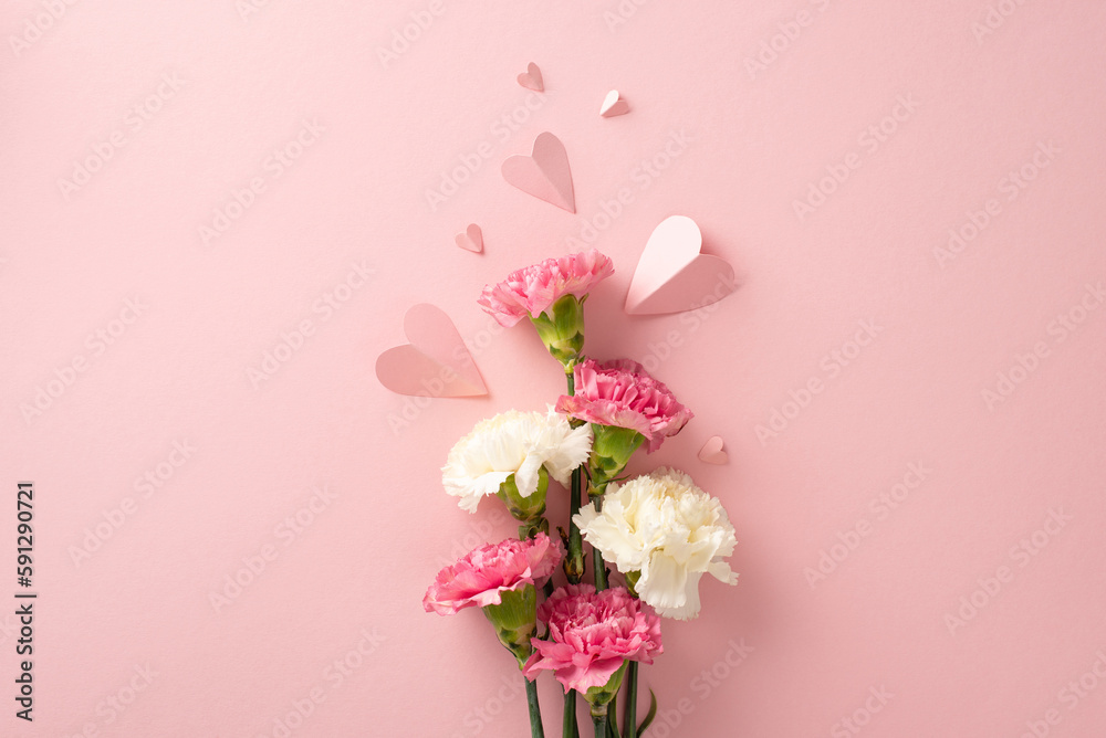 Mother's Day present idea. Top view of carnation flowers and heart-shaped papers on a pastel pink surface Mother's Day present idea. Top view of carnation flowers and heart-shaped papers on a pastel pink surface