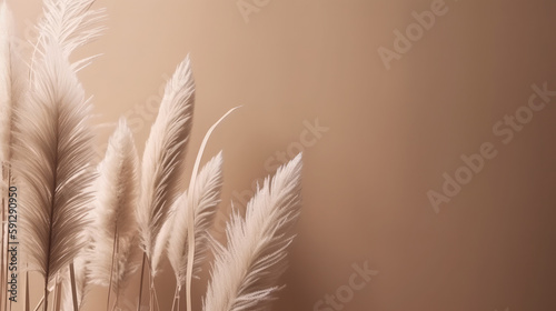 Pampas grass minimalist background. Illustration AI Generative.
