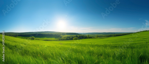 Panoramic natural landscape of green rolling fields with grass against a blue sky.