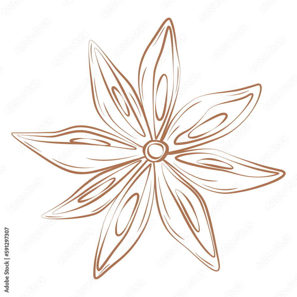 Anise sketch in trendy brown shade. Spicy spice for coffee or mulled wine. Sticker. Icon. Isolate.