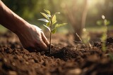Close up of male hand planting a tree, sunlight, resilient ecosystems. Generative AI.
