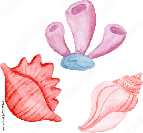 Fototapeta Naklejka Na Ścianę i Meble -  set of seashells beach illustration