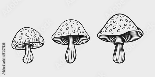 Vector Hand Drawn Mushroom With Outline Icon Set Isolated. Amanita Muscaria, Fly Agaric Scetch, Doodle, Linear Sign Collection. Magic Mushroom Symbol, Design Template. Vector illustration