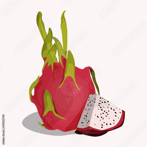 flat vector illustration of a dragon fruit with a slice For Web Or Print Packaging. Vector Illustration.  photo